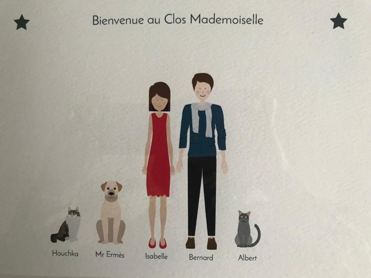 Le Clos Mademoiselle Loches Esterno foto